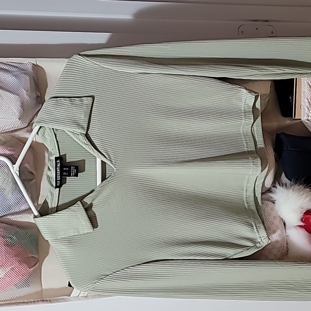 Long Sleeve Light Green Crop top